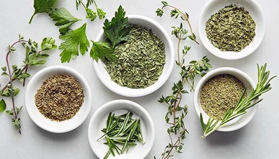 Herbal Raw Materials