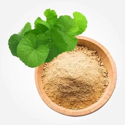 Bacopa Extract Herbal Product