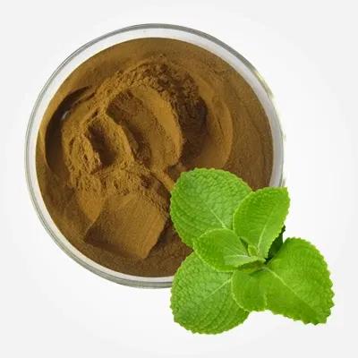 Coleus Extract Herbal Product