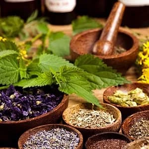 Botanical Ingredients