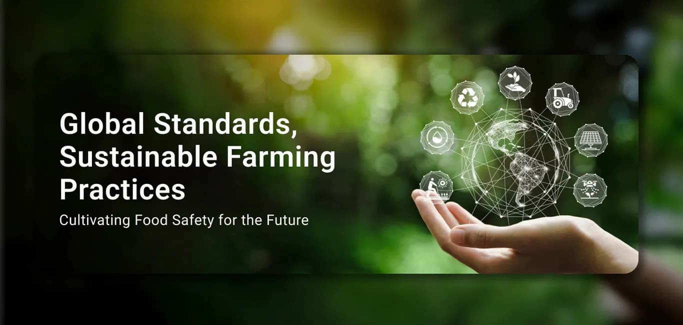 Quality Spices Direct from Farmers