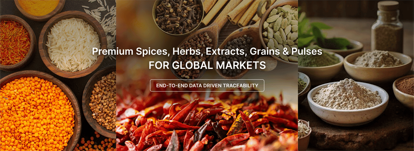 Premium Spices, Herbs, Botanical Extracts, Grains, Pulses for Global Markets