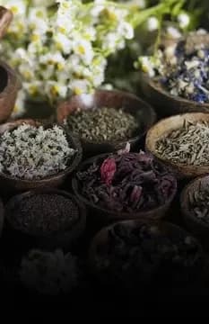 Herbs