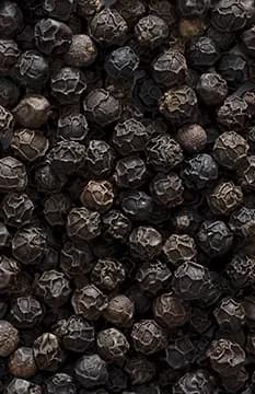 Black Pepper