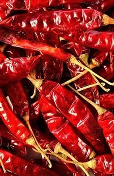 Chilli