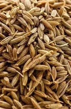 Cumin
