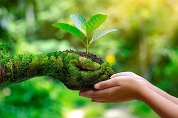 website/HomePage/sustainability-agroecosystem-img.webp