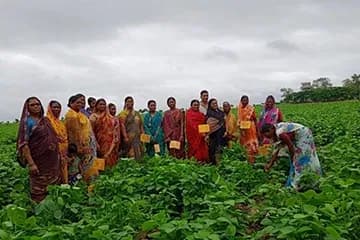 website/HomePage/sustainability-farming-solutions-img.webp