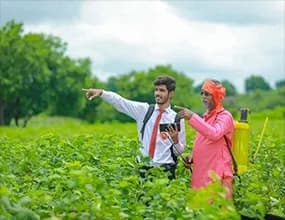 Strong on-ground sourcing through field visits and farmer networks