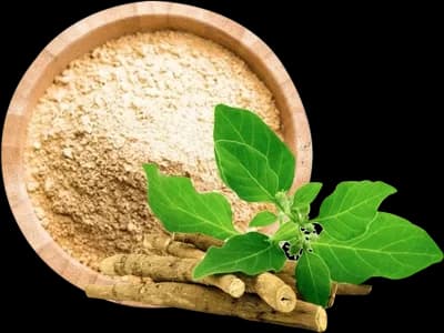 Ashwagandha Extract