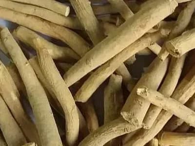 Ashwagandha