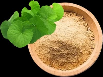 Bacopa Extract