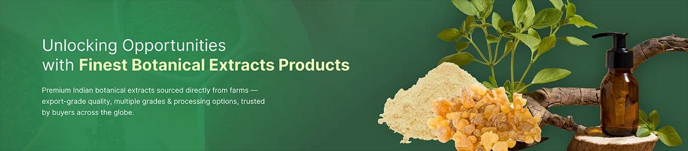 Premium Botanical Extracts from India banner