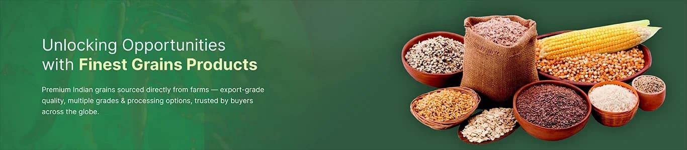 Premium Grains from India banner