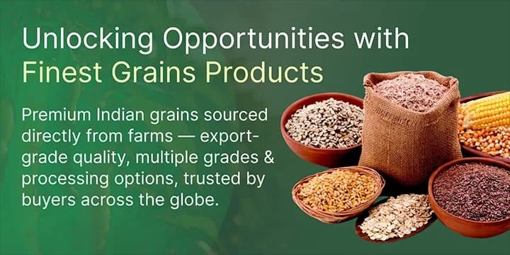Premium Grains from India banner