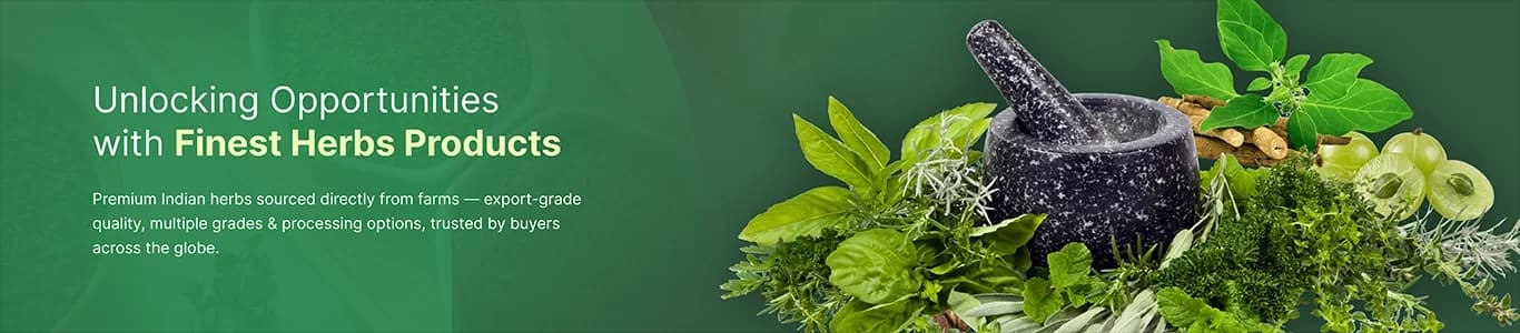 Premium Herbs from India banner