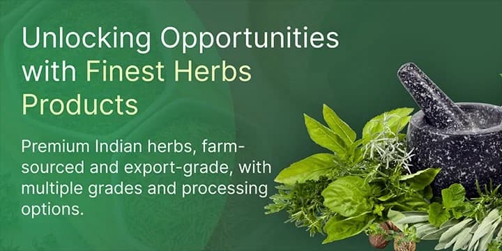Premium Herbs from India banner