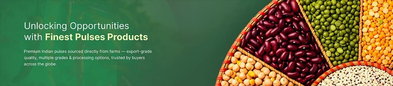 Premium Pulses from India banner