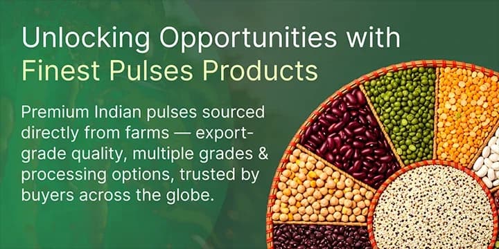 Premium Pulses from India banner