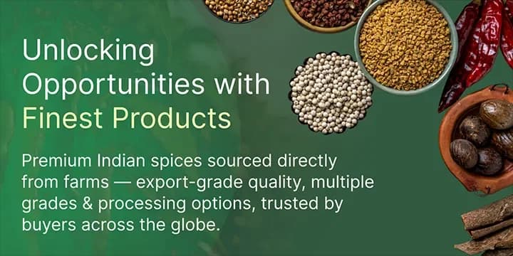 Premium Spices from India banner