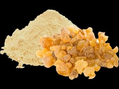 Boswellia Extract