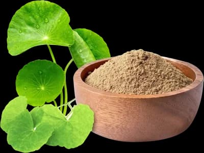 Centella Extract
