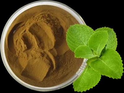 Coleus Extract