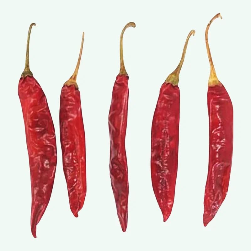 334 Sannam red chilli variety