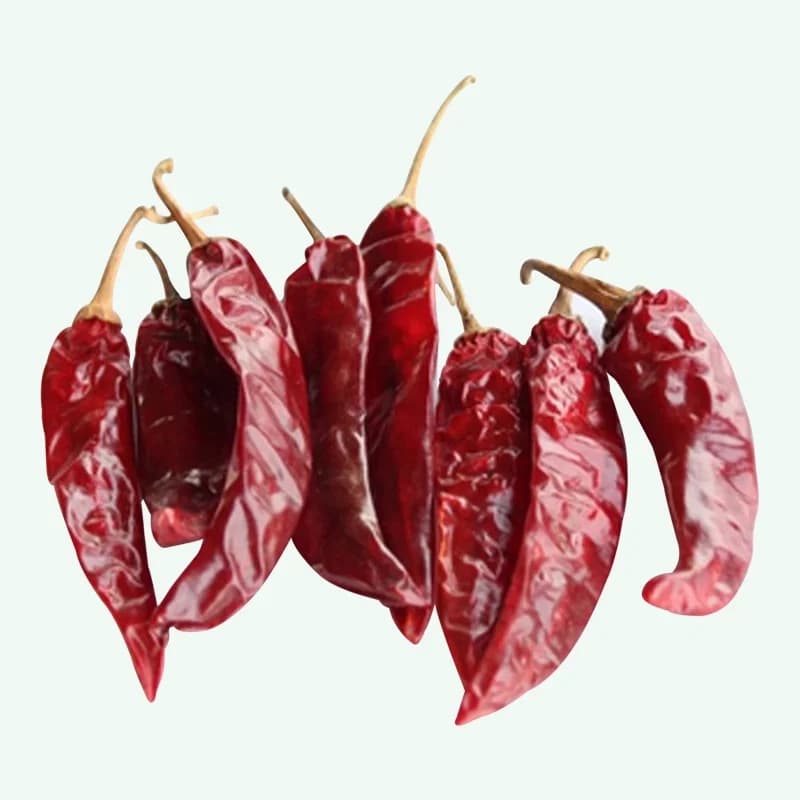 341 red chilli variety