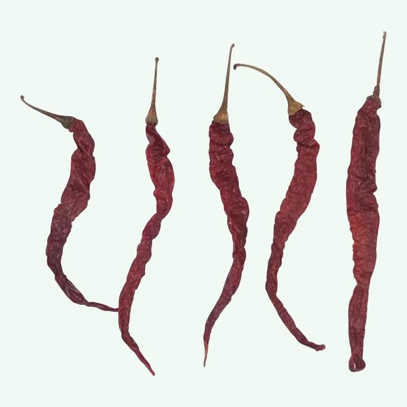 355 red chilli variety