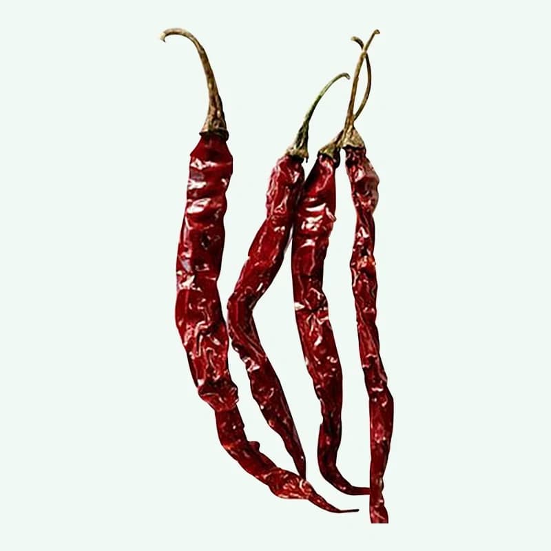 5531 chilli premium grade