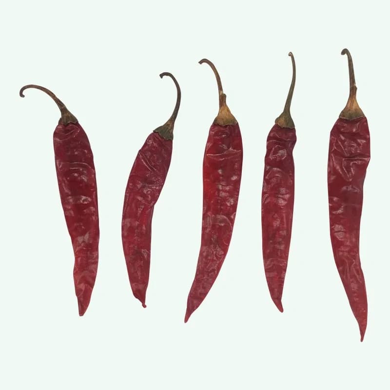 Armour chilli variety