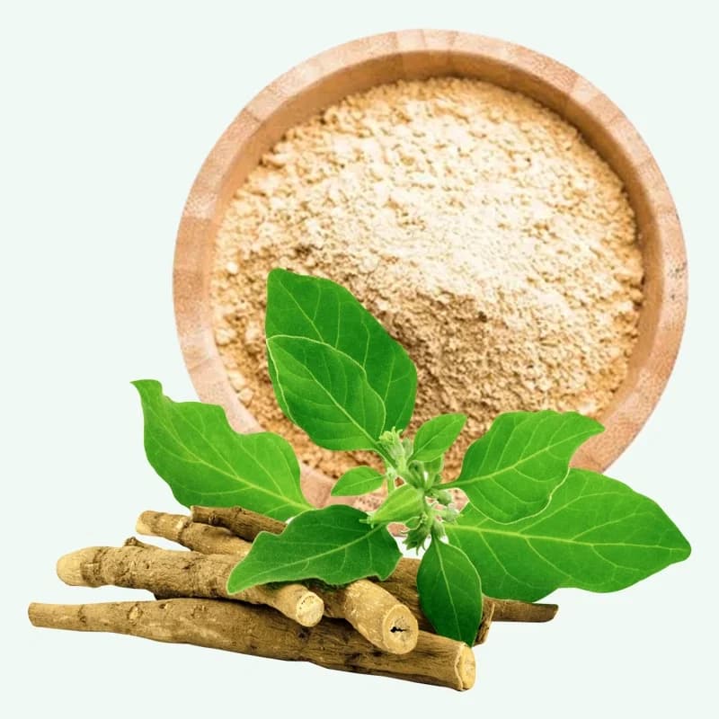 Premium Ashwagandha Extract