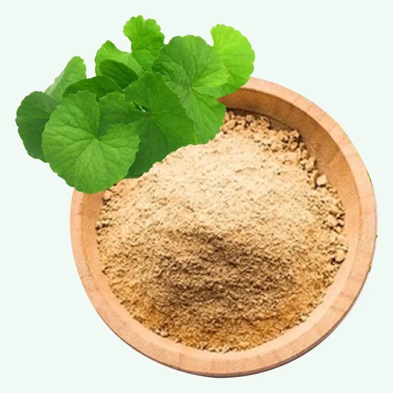 Premium Bacopa Extract