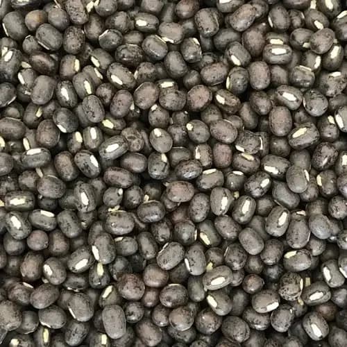 Premium Black Gram