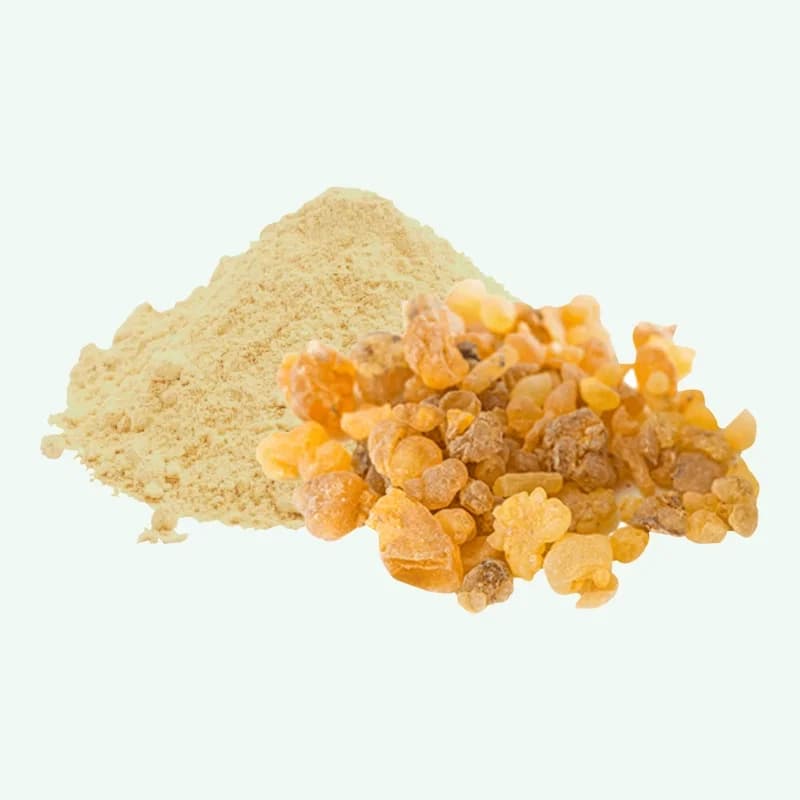 Premium Boswellia Extract