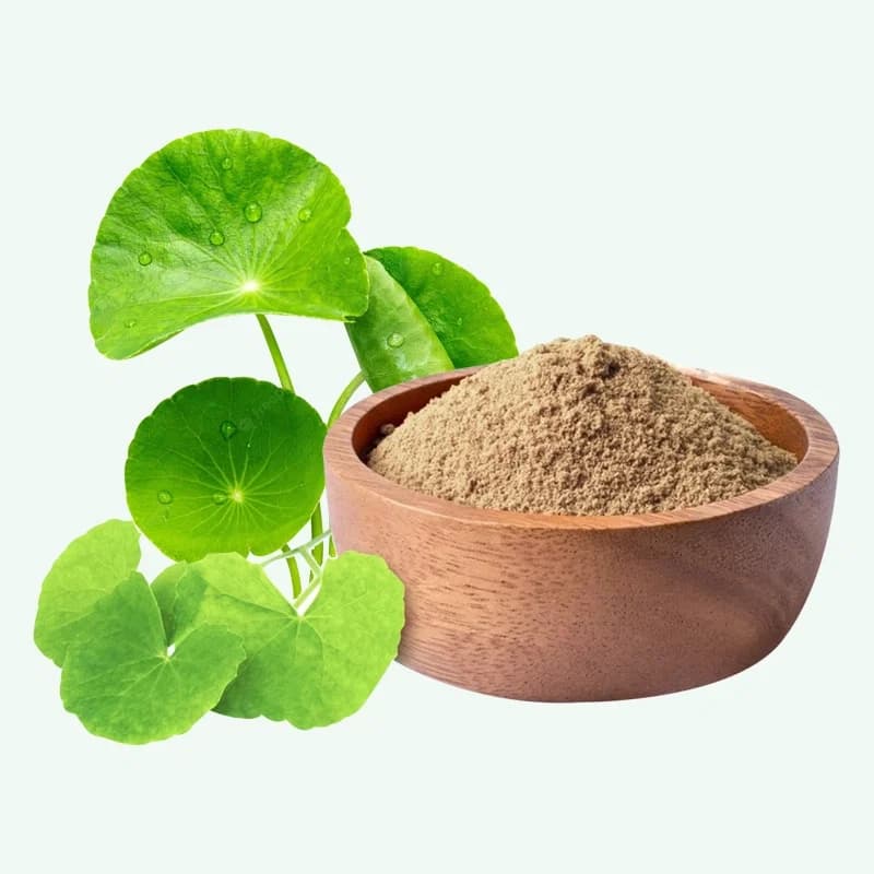 Premium Centella Extract