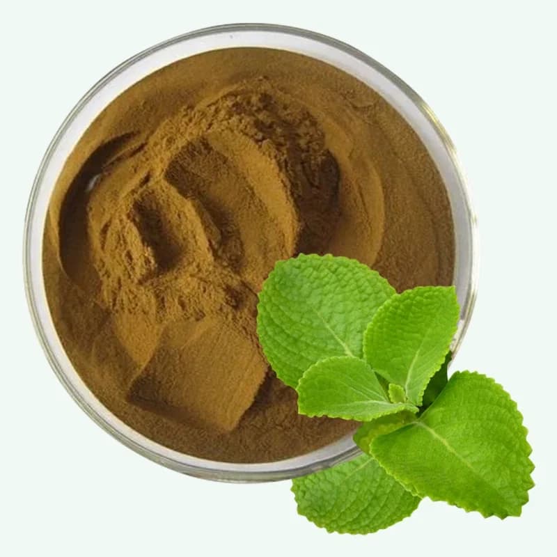 Premium Coleus Extract