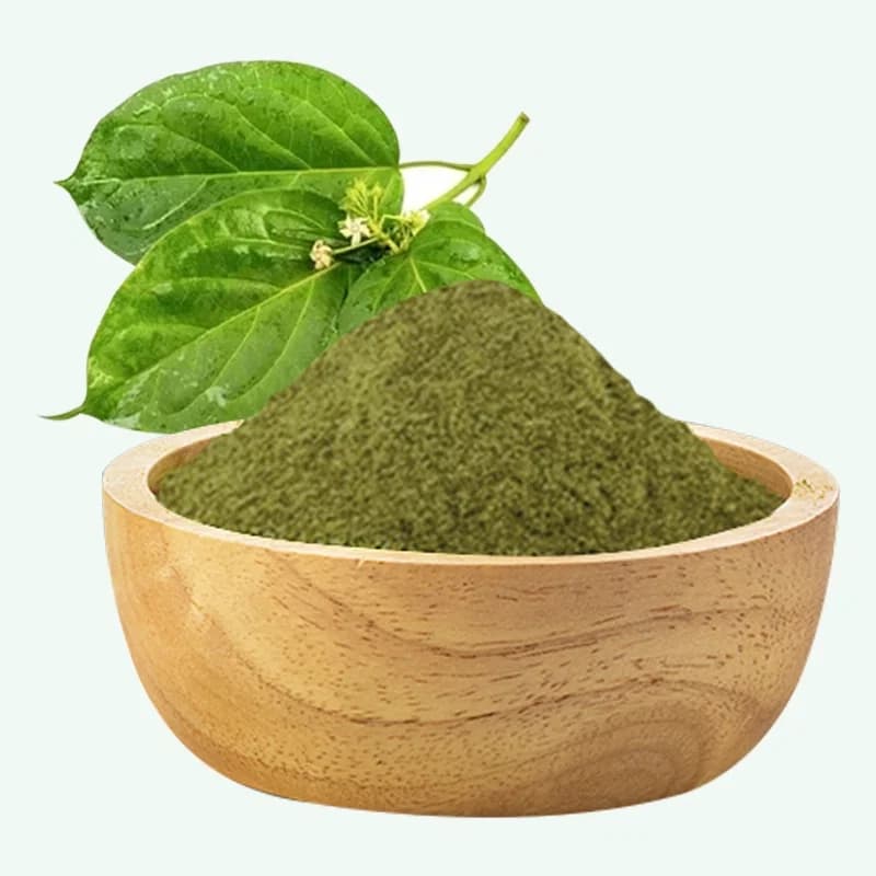 Premium Gymnema Extract
