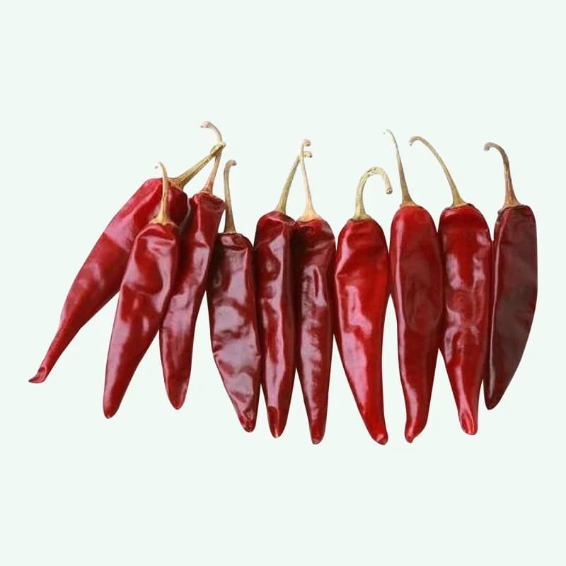 Indam No 5 red chilli
