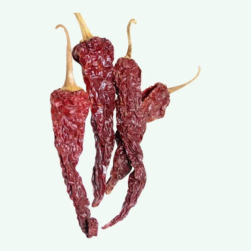 Bydagi chilli with rich color