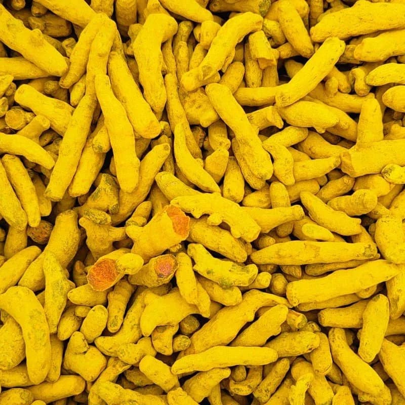 Turmeric Salem Sangli variety