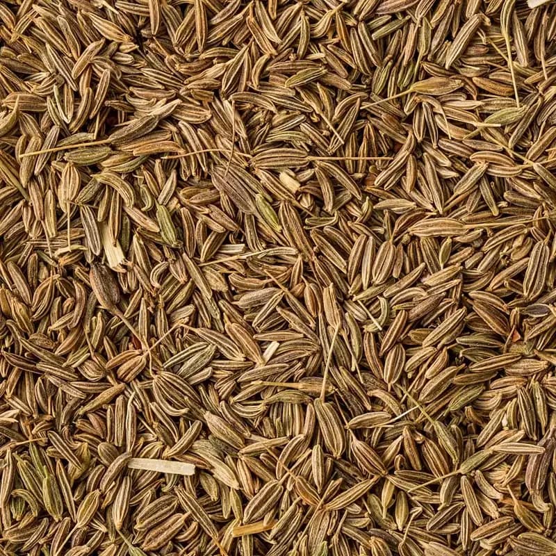 Singapore Quality cumin variety