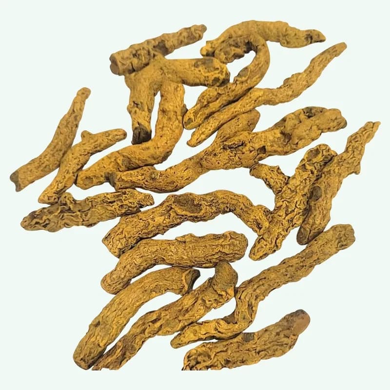 Turmeric Vizag variety