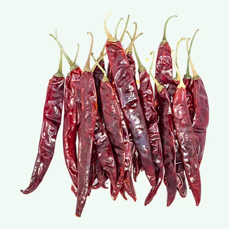 Wonder Hot chilli variety