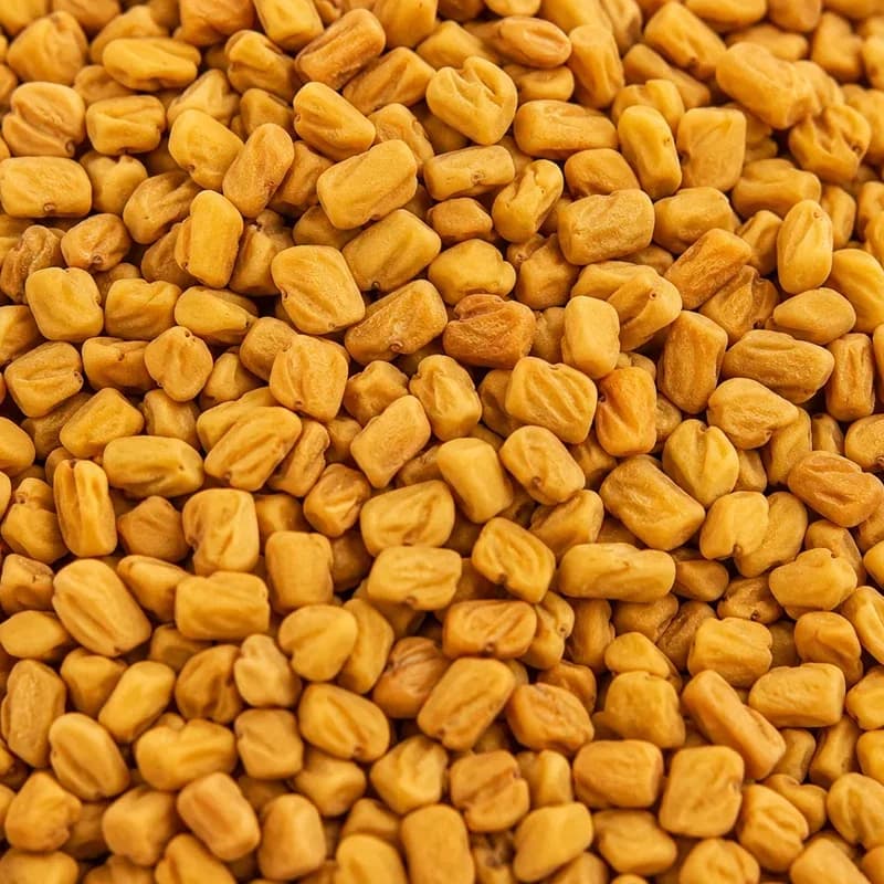 Premium Fenugreek Seeds