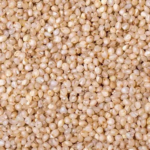 Premium Millets