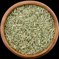 Fennel
