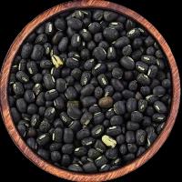 Black Gram
